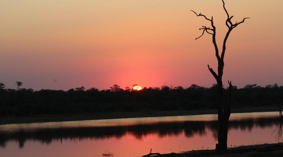 Sunset in Kruger Park Sable Hide